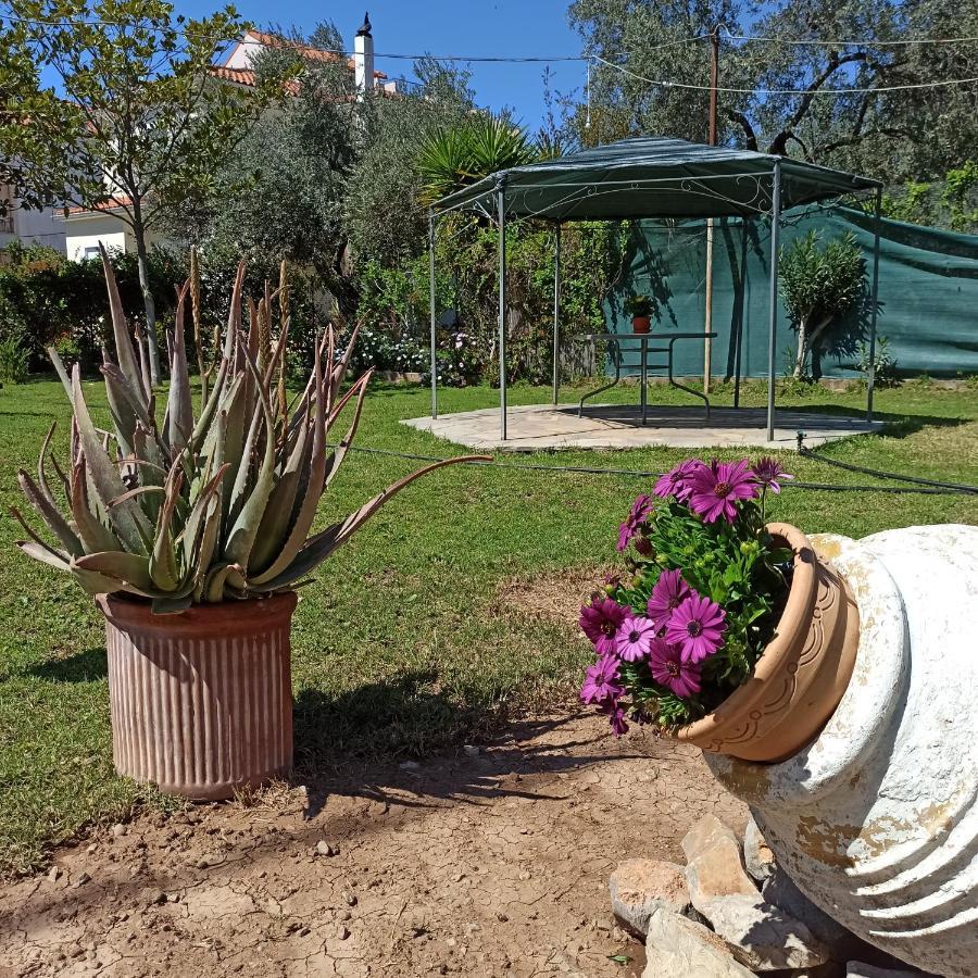 הוילה Kirra Itea'S Garden House מראה חיצוני תמונה